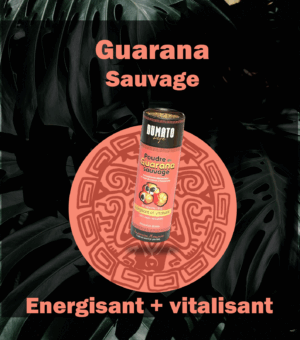 Guarana sauvage d'Amazonie