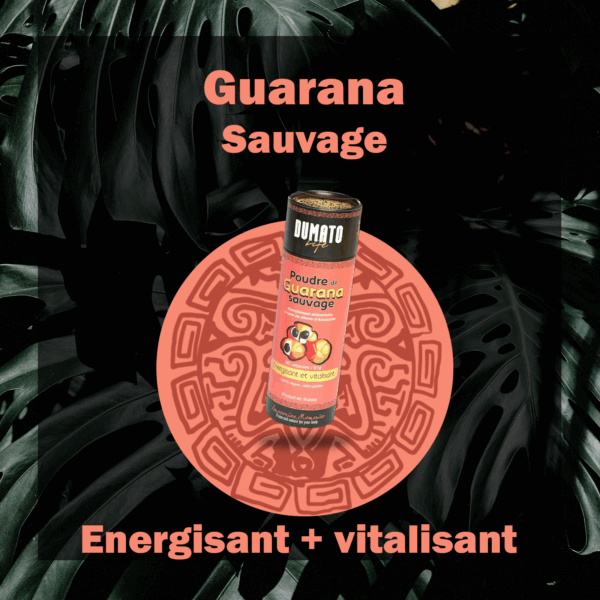 Guarana sauvage d'Amazonie