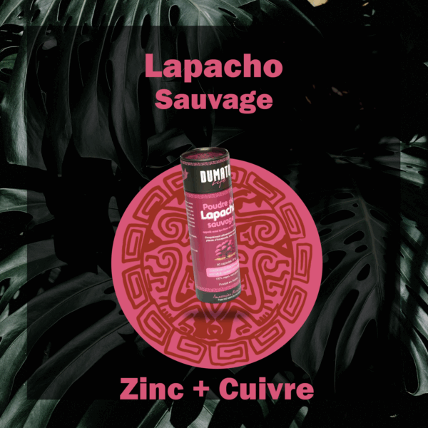 Lapacho sauvage