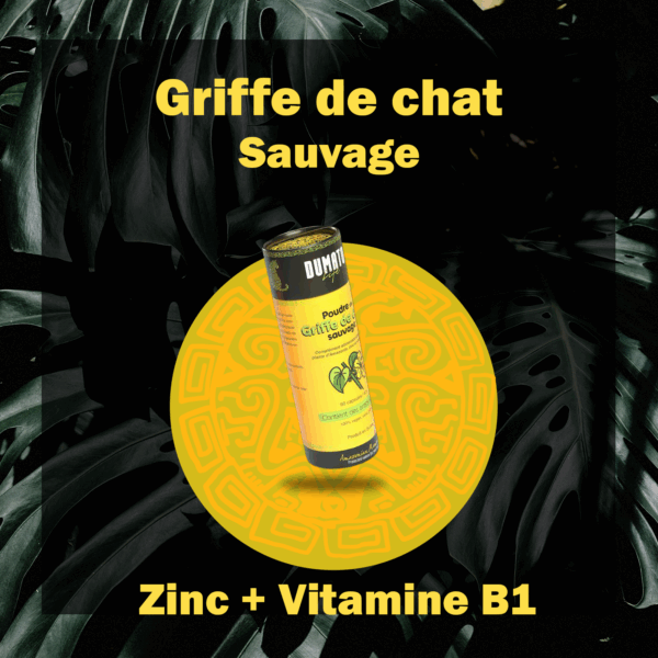 Griffe de chat sauvage