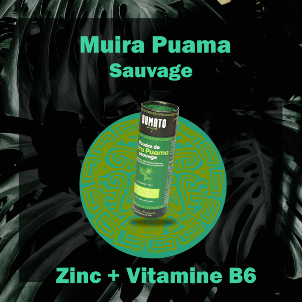 Muira Puama sauvage